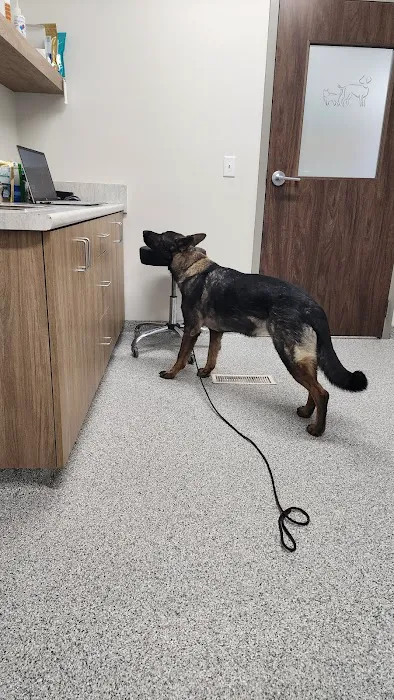Lake Mills Veterinary Clinic 12