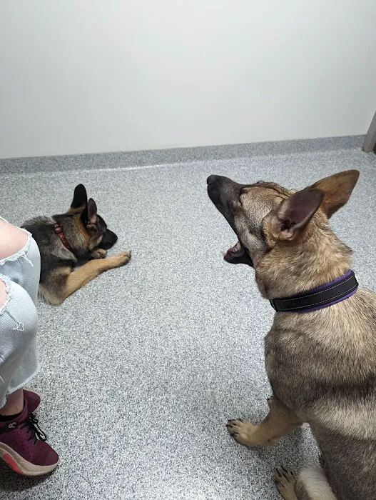 Lake Mills Veterinary Clinic 12