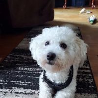 Edgerton Veterinary Clinic ico