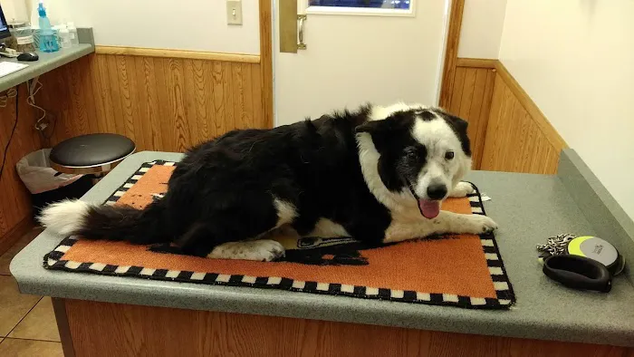 Edgerton Veterinary Clinic 9