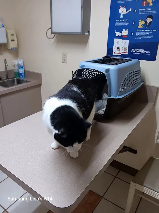Malta Veterinary Hospital 12