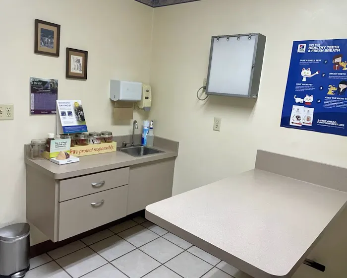 Malta Veterinary Hospital 12
