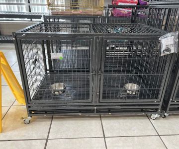 Bull Level Pet Store