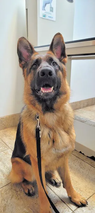 State Street Animal Clinic 12