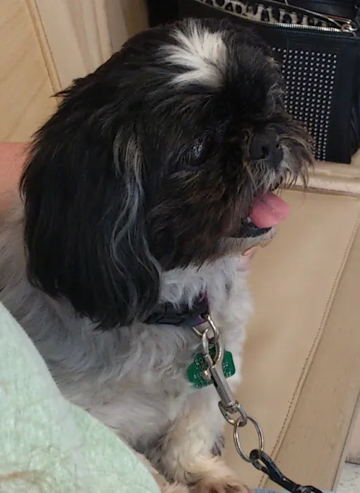 CherryVale Animal Clinic 12