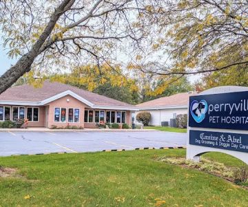 Perryville Pet Hospital