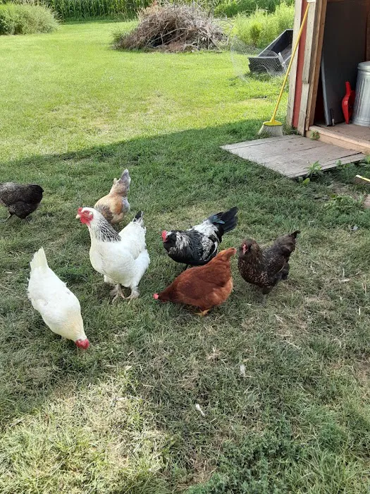 Perryville Pet Hospital 12