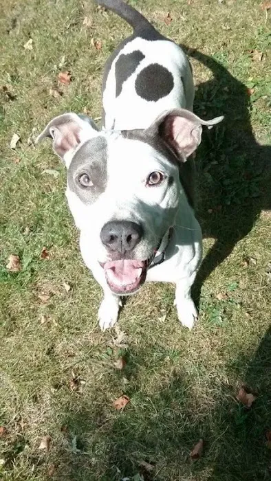 Perryville Pet Hospital 12