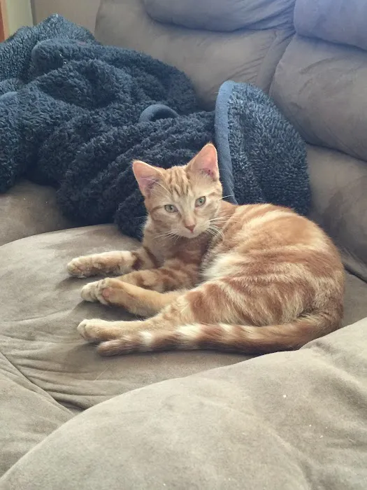 Perryville Pet Hospital 12