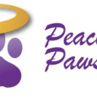 Peaceful Paws - In-Home Veterinary Care & End of Life Services in Illinois ico