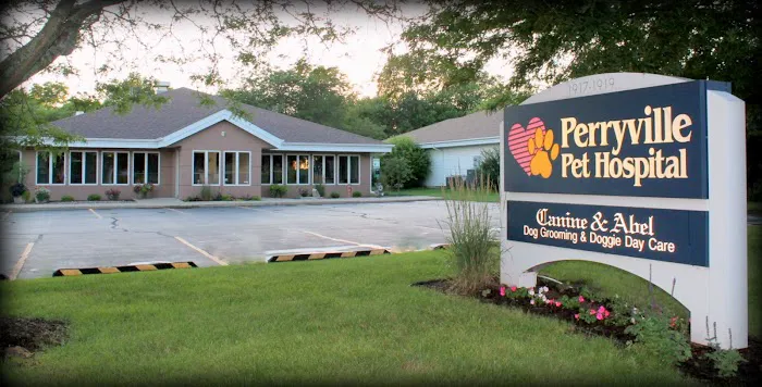 Peaceful Paws - In-Home Veterinary Care & End of Life Services in Illinois 12