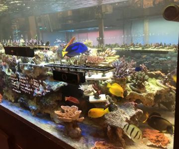 OceanLife Aquariums