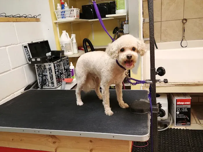 Animal Clinic of Poplar Grove 12