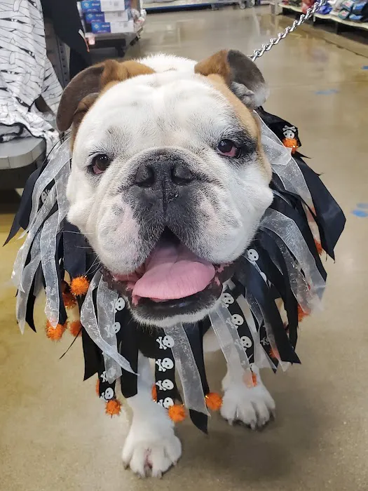 Animal Emergency Clinic of Rockford 12