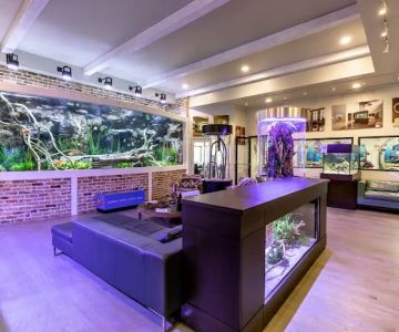 Fish Gallery | Aquarium Superstore