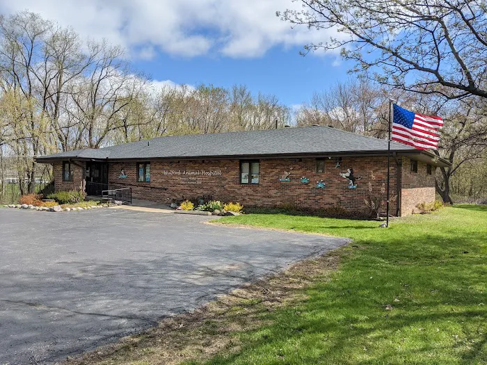 Mulford Animal Hospital 12