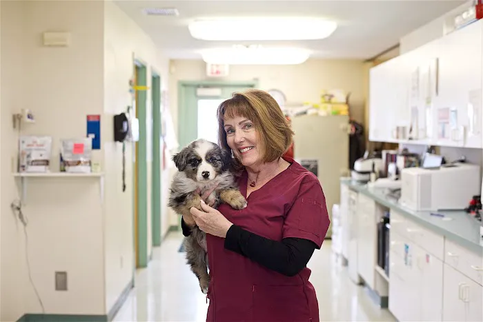 Alpine Veterinary Hospital 12