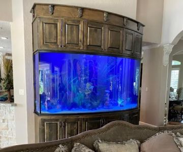 Aquariums Ponds And Services