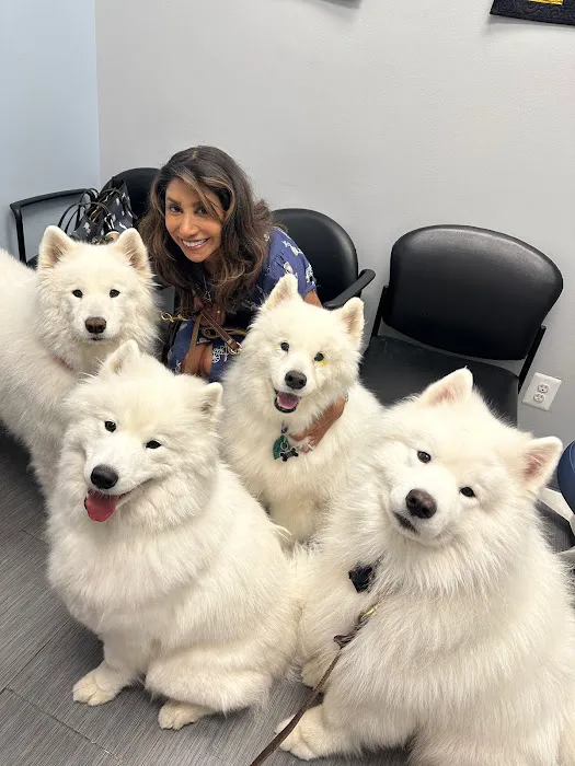 Ocean Veterinary Ophthalmology, LLC 2