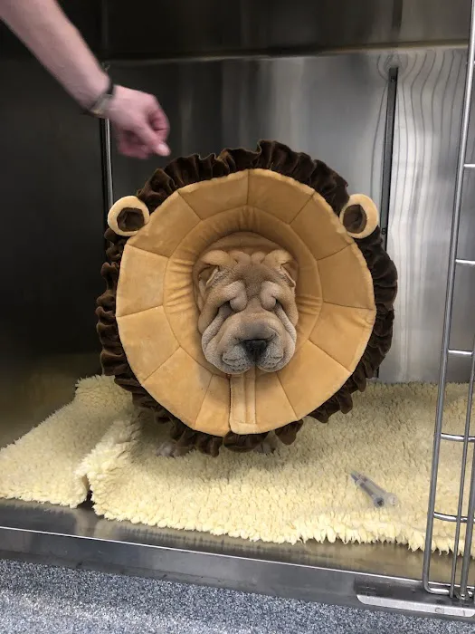 Ocean Veterinary Ophthalmology, LLC 8