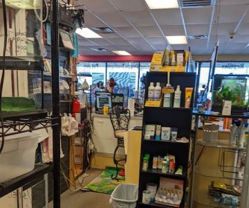 Paradise Fish And Pets