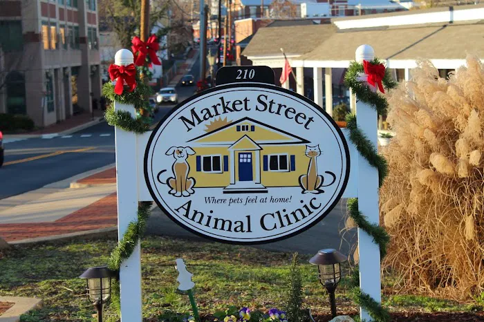 Market Street Animal Clinic 2