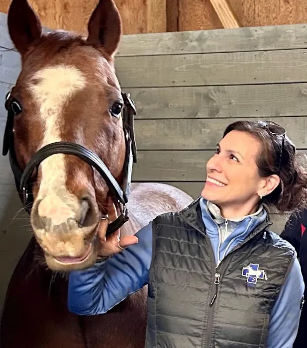 Virginia Equine Rehabilitation & Performance Center 12