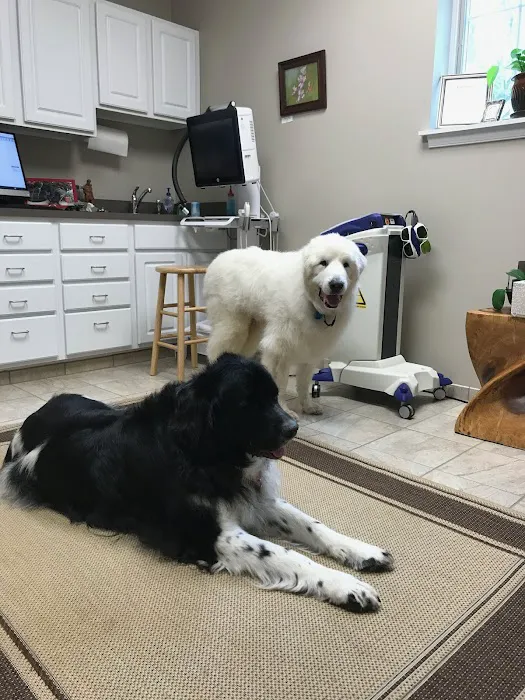 Clevengers Corner Veterinary Care 7