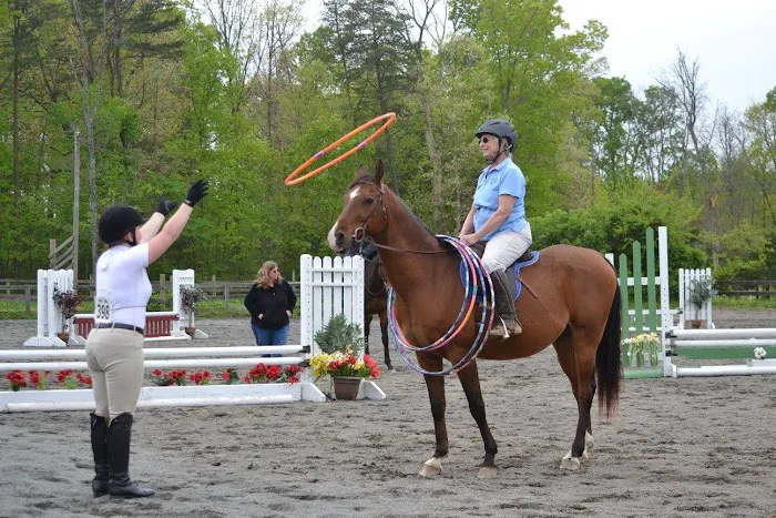 Old Waterloo Equine Clinic 1