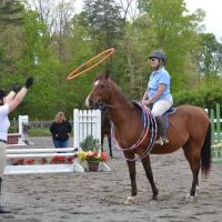 Old Waterloo Equine Clinic ico