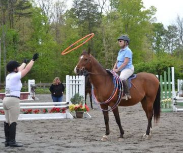 Old Waterloo Equine Clinic