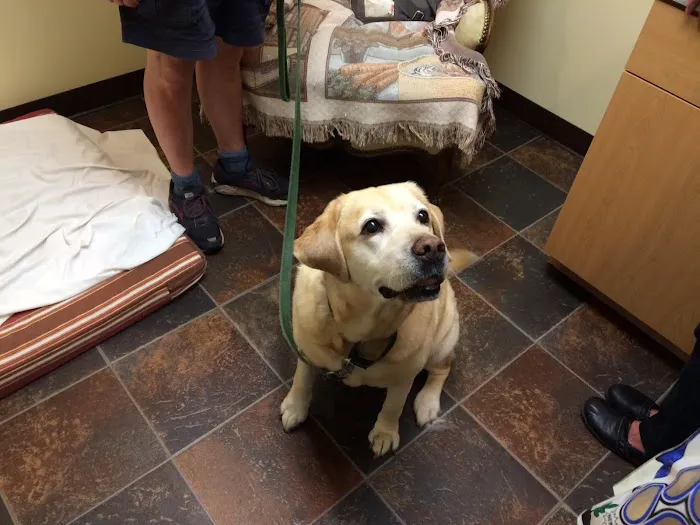 Animals First Veterinary Service 2
