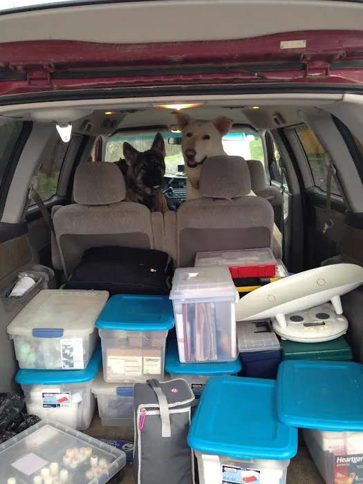 Animals First Veterinary Service 5