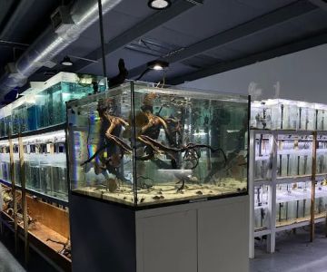 That Aquarium Place