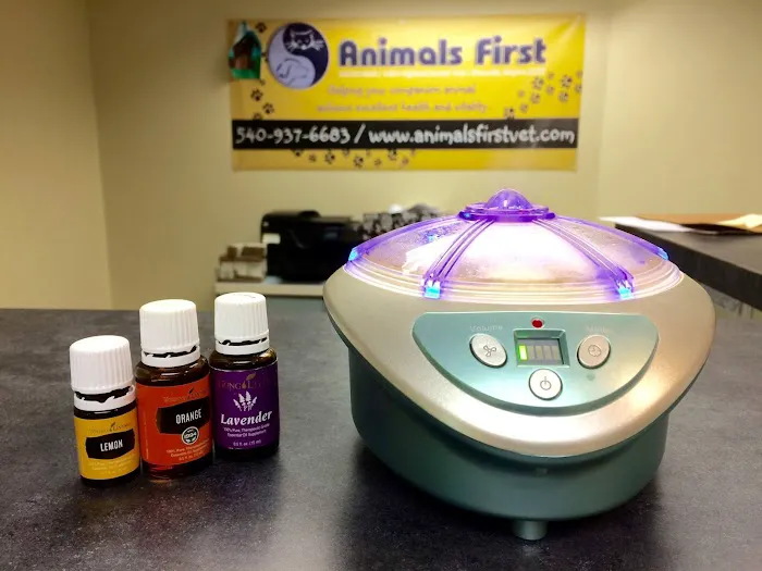 Animals First Holistic Veterinary Services - Dr. Lori Blankenship 8