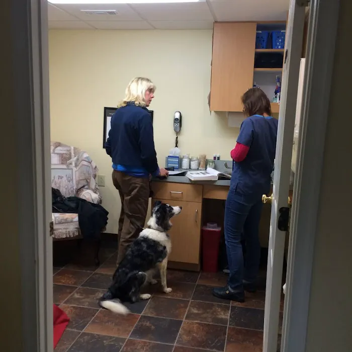 Animals First Holistic Veterinary Services - Dr. Lori Blankenship 10