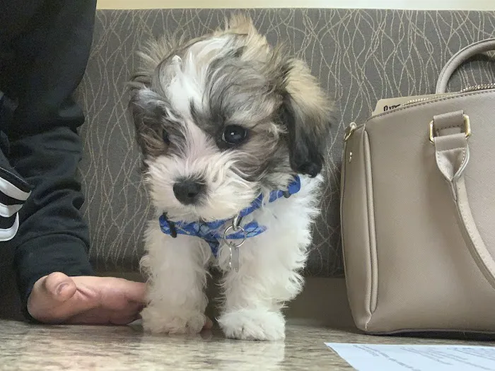 Aquia-Garrisonville Animal Hospital 2