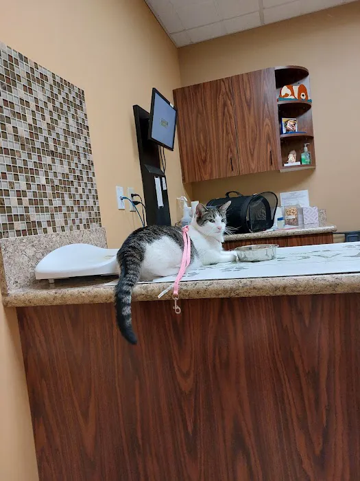 Aquia-Garrisonville Animal Hospital 3