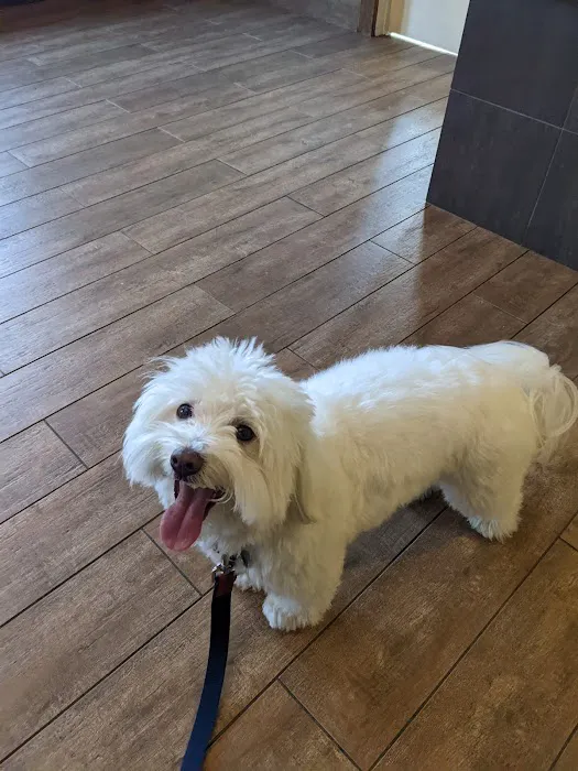 Aquia-Garrisonville Animal Hospital 7