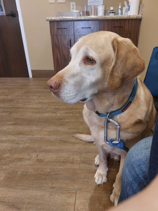 Aquia-Garrisonville Animal Hospital 8