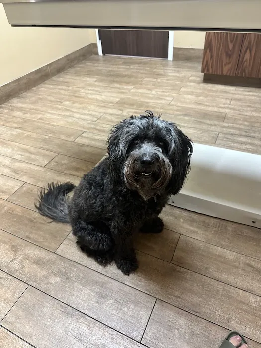 Aquia-Garrisonville Animal Hospital 6