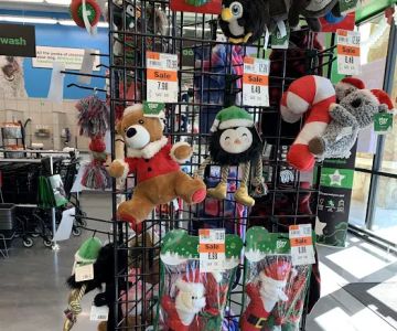 Pet Supplies Plus Champion Forest
