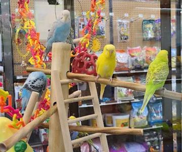 Petco