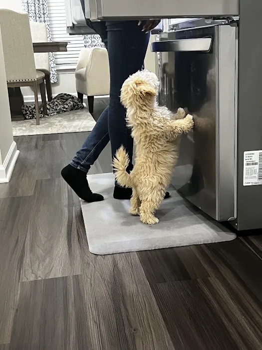 610 Animal Hospital 10