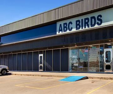 ABC BIRDS