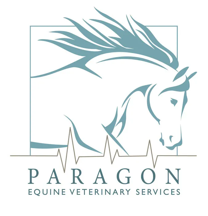 Paragon Equine Veterinary Services 3