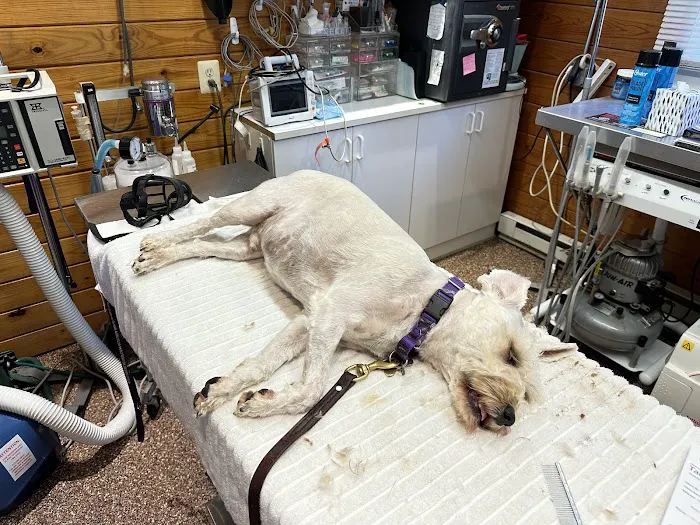 Tally Oaks Veterinary Service 12