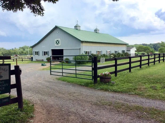 Tally Oaks Veterinary Service 12