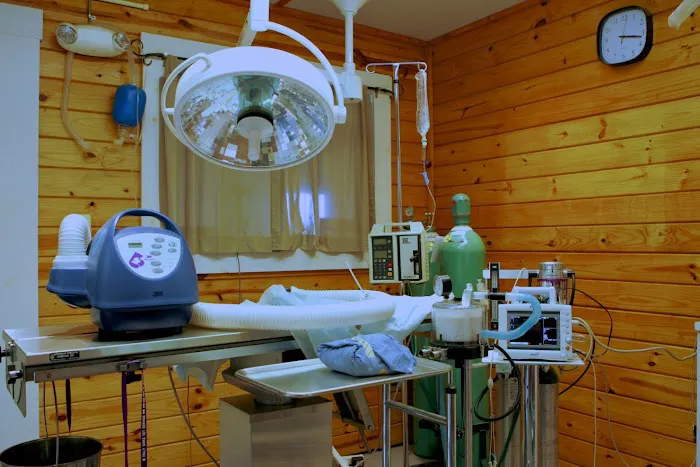 Tally Oaks Veterinary Service 12