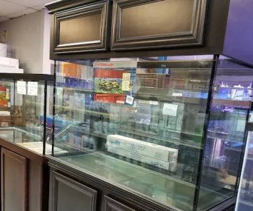 Deep Aquatic, custom aquarium sales and services